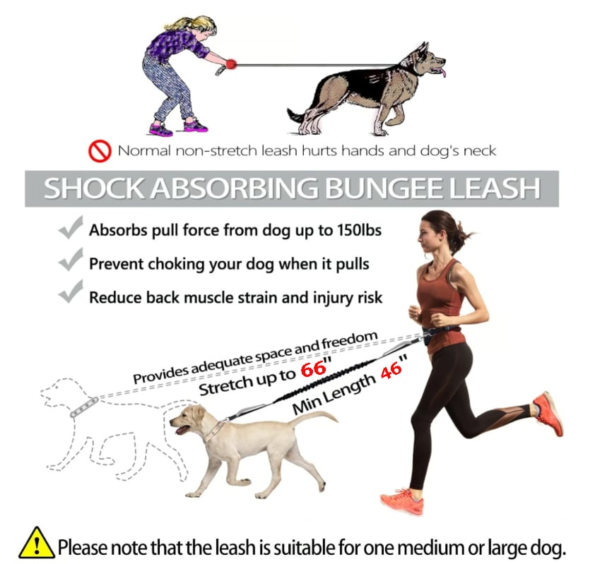 š„Last Day 49% OFFš„Mother's Day Sale -Hands Free Dog Leash with Zipper Pouch