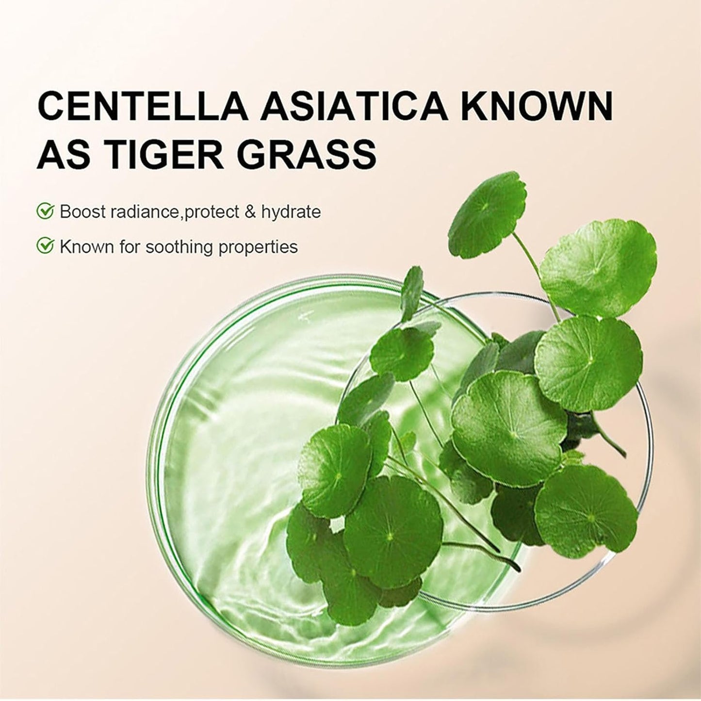 Hot sale 49%off - Hydrating CC Cream Foundation with Centella Asiatica