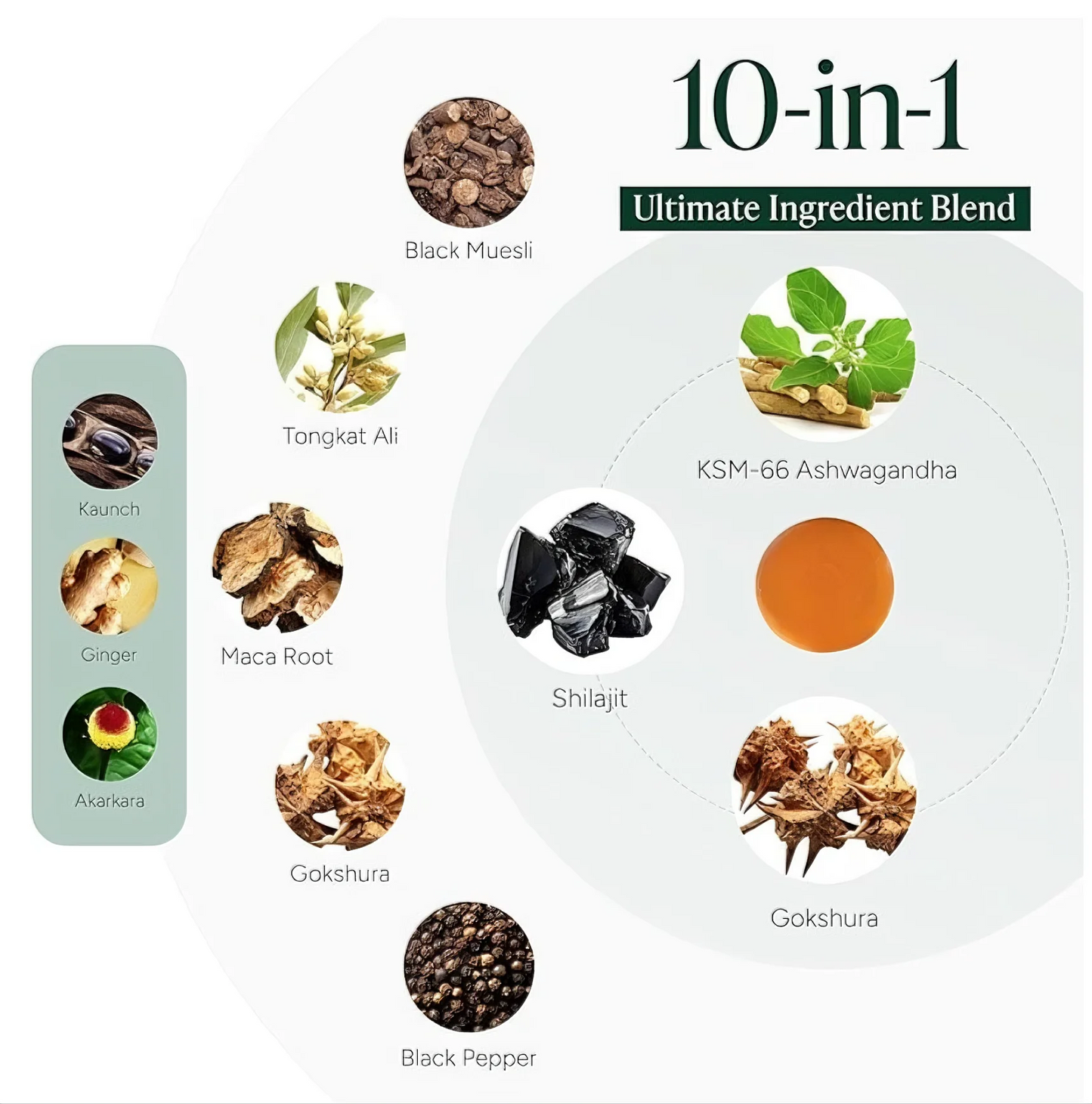 BeautyNue 10-in-1 Gummies – 4000mg Super Herbs Blend – 60 Count, Clean & Sugar-Free