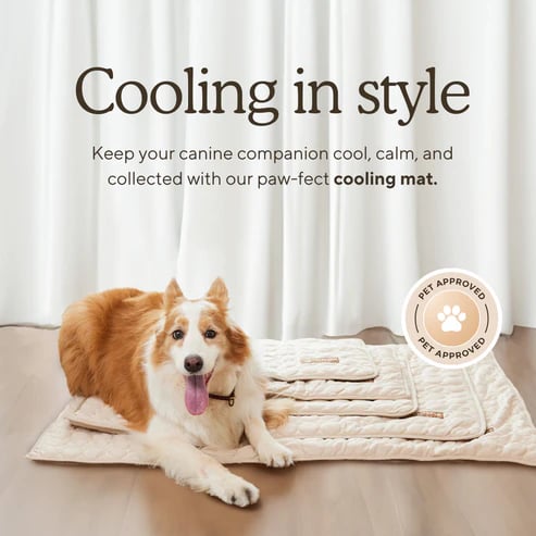 💥This Week's Special Offer 49% Off🧊Dog Cooling Mat