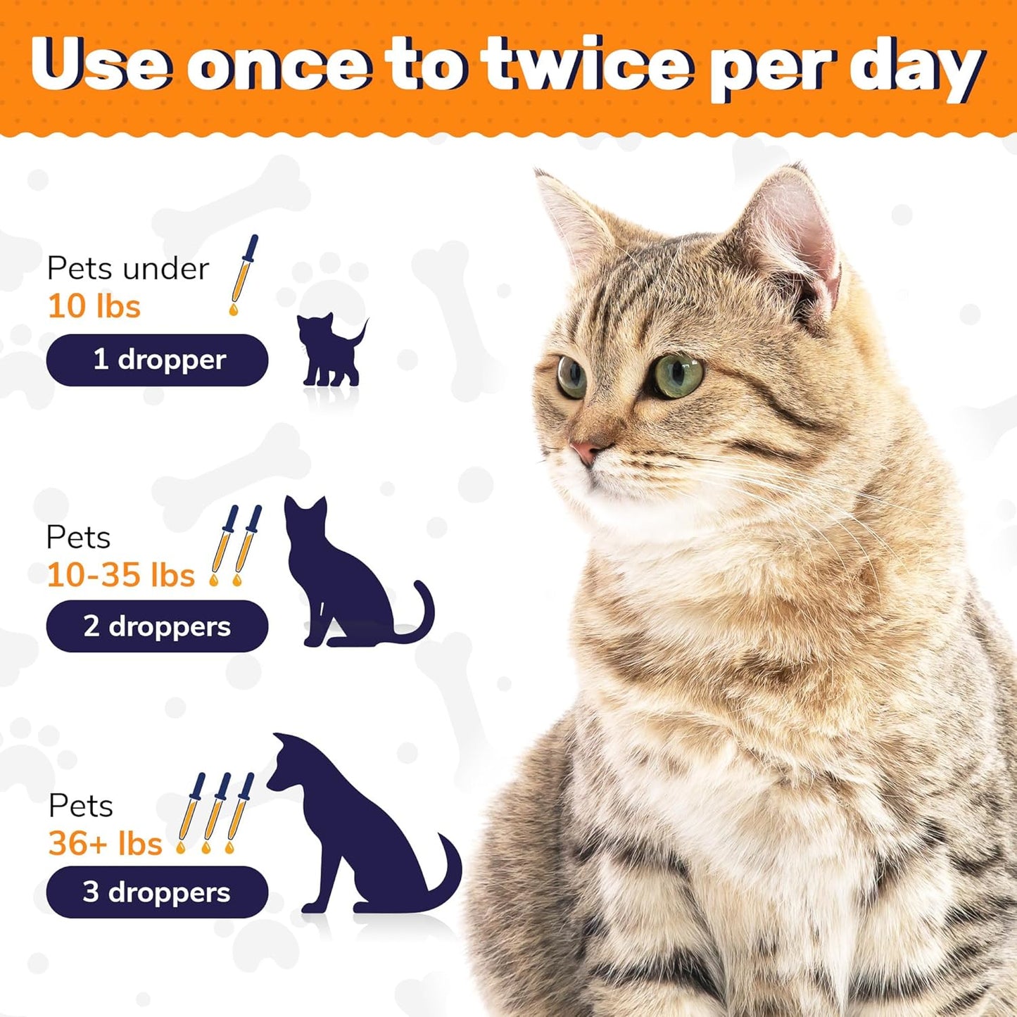 🔥Last Day BUY 1 GET 1 FREE 🔥 Probiotics for Pets of All Ages