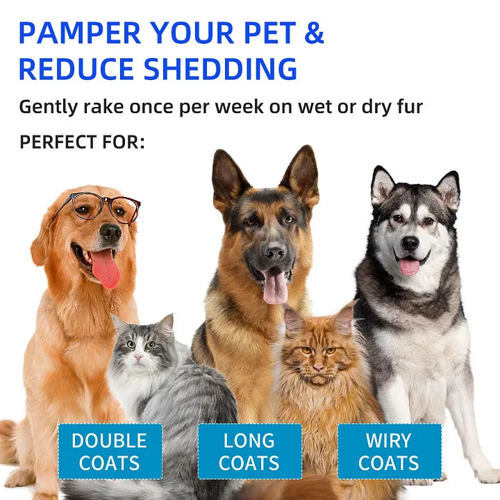 ✨Last Day 50% OFF💥Pet Spray Hair Removal Comb🐶