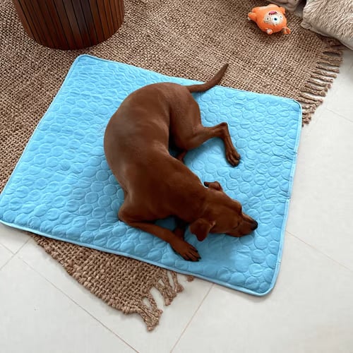 💥This Week's Special Offer 49% Off🧊Dog Cooling Mat