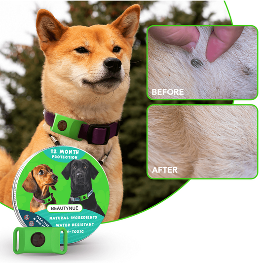 12 Months Flea and Tick Free