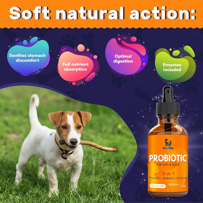 🔥Last Day BUY 1 GET 1 FREE 🔥 Probiotics for Pets of All Ages