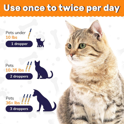 🔥Last Day BUY 1 GET 1 FREE 🔥 Probiotics for Pets of All Ages