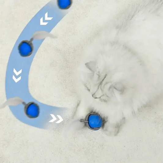 ⏳ LIMITED TIME! SPEEDY TAIL 2.0 ONLY $24 – SAVE 51% TODAY!