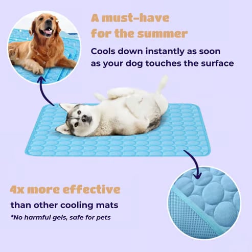 💥This Week's Special Offer 49% Off🧊Dog Cooling Mat