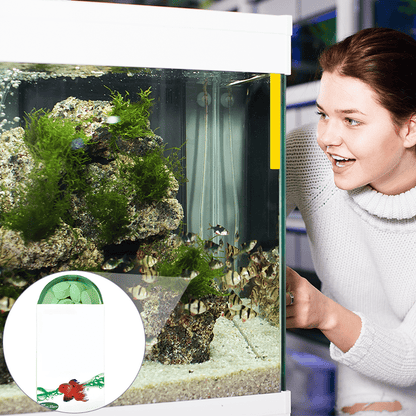 Powerful Aquarium Water Purification Tablet