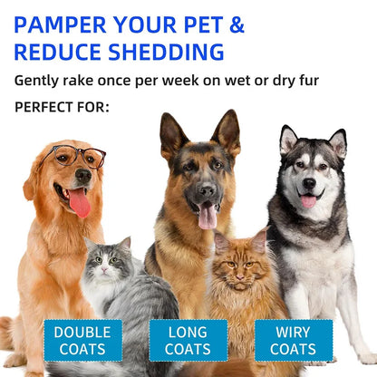 ✨Last Day 50% OFF💥Pet Spray Hair Removal Comb🐶